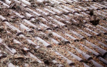 Irons Bottom roof cleaning companies